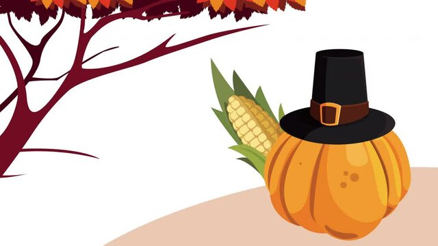 happy thanksgiving day animation with pumpkin wearing pilgrim hat