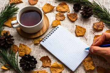 Writing in opened blank notepad with cup of tea on pastel background with autumn leaves inside natural frame of pine branches and pine cones. Copy space. First-person view. Planning concept