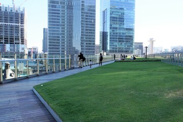 Naklejka premium キッテ屋上庭園