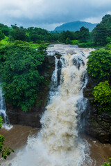 Fototapeta na wymiar Randha Falls in Bhandardhara, Maharashtra 