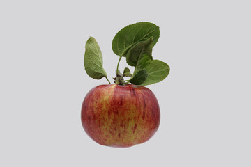 Red apple on a gray background.