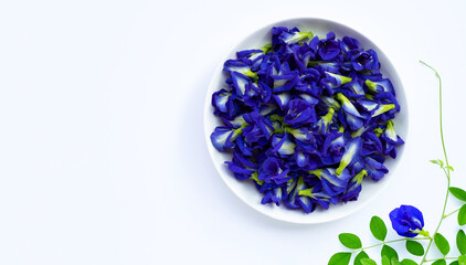 Blue butterfly pea flower on white background.