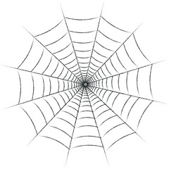 Obraz premium Halloween 2020 spider web silhouette on white background