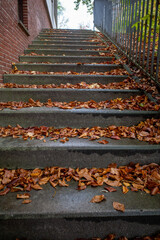 stairs are covered with brown leaves in autumn