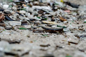 Random pieces of broken glass on the ground.