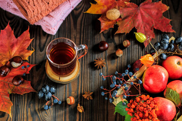 autumn composition with a mug of tea, autumn leaves, fruit and nuts, on the background of folded sweaters