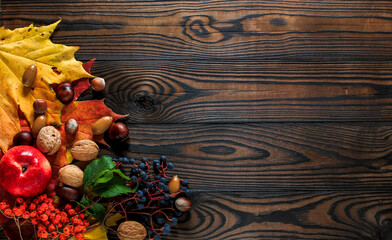 Autumn bright yellow-red leaves, nuts, apples on a wooden background. natural table made of boards. top view with space for text