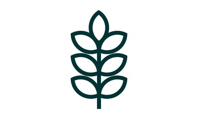 icon leaf line vector