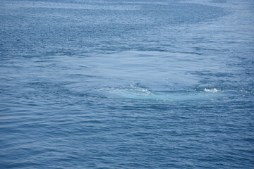 Obraz premium Boat trip on a clear and Sunny day