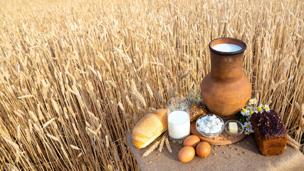 Obraz na płótnie Canvas Organic food - milk, bread, eggs, cheese, butter lying on the table, against the background of a wheat field.