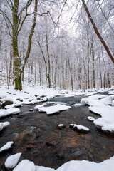 water stream in the winter forest. trees and shore covered in snow