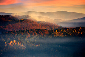 dramatic autumn dawn in mountains. beautiful nature background. fog above the forested hills in red foliage
