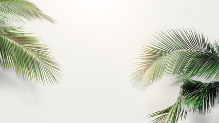 Fototapeta na wymiar palm coconut leaves on white background, Blank space arranged with green leaf