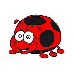 Ladybug Illustration Red And Black Beetle