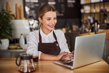 Saleswoman working at the laptop in coffee shop