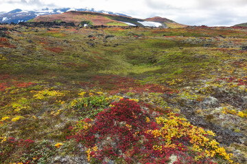Kamchatka, colors of autumn tundra in the area of Gorely volcano