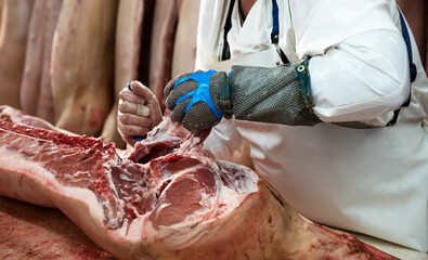 Butcher cuts freshly slaughtered meat of pork for sale and further processing as sausage