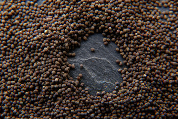 dry poppy on a black background dry poppy heads. Dry poppy heads on a black background. Poppy head and seeds are scattered.