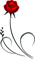 Red rose, element for design.