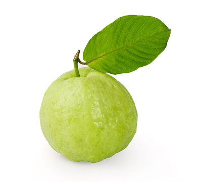 Guava Isolated On A White Background