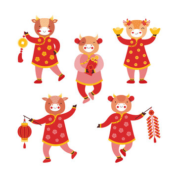 Set of cartoon baby bull girls in red traditional Chinese clothes and with new years symbols of good luck. Chinese new year ox. Festival firecracker, paper flashlight, gold coins, envelope with money.