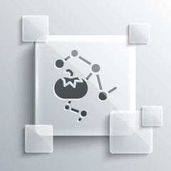 Grey Genetically modified food icon isolated on grey background. GMO fruit. Square glass panels. Vector.