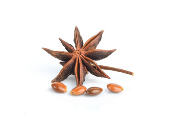 Chinese star anise seed isolated over the white background