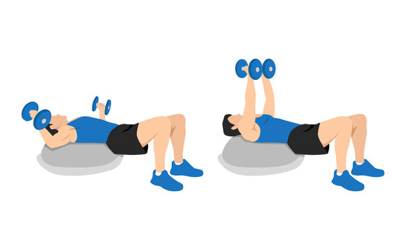 man doing bosu ball chest dumbbell flyes,flies. Flat vector illustration isolated on different layers