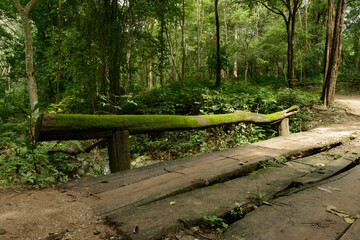 Trees were used to make bridges and railings. To cross a stream in the Mae Wong National Park, Kamphaeng Phet, Thailand.
