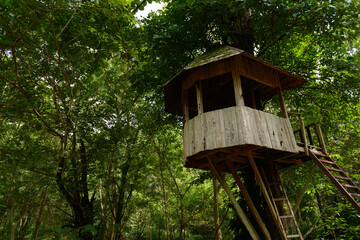A wooden watchtower in the forest.