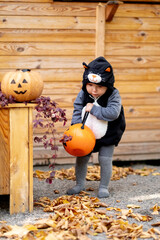 Happy Halloween A small child in a cat costume and a basket of sweets. Wallet or life