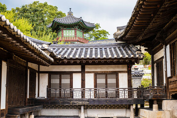 traditional beauty of korea 12