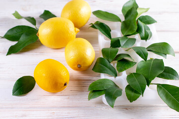 Fresh lemons on a table with lemon sprouting in a container of water. Growing exotic plants at home.