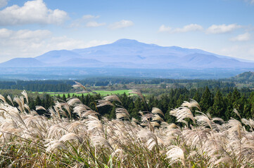 Jeju Island's autumn scenery with silver grass and Hallasan Mountain.