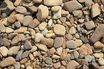 Summer day by the river, stones of different sizes