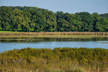 Lake and Nature Protection Area Egglburger See near Ebersberg, Bavaria, Germany