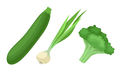 Green Vegetables with Broccoli and Onion Vector Set