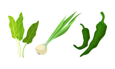 Green Vegetables with Pepper and Onion Vector Set