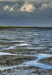 Abendstimmung im Watt. Ostfriesland