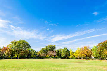 秋色が深まる住宅街の公園