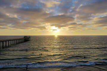 Scripps Coastal Reserve - California