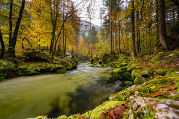 Creek through autumn foliage I
