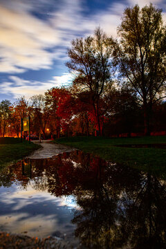 Autumn 
