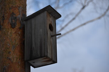 A handmade wooden bird feeder hangs on a pine tree.