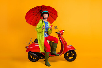Full length photo portrait of shocked stylish biker rider driver in casual clothes holding phone in...