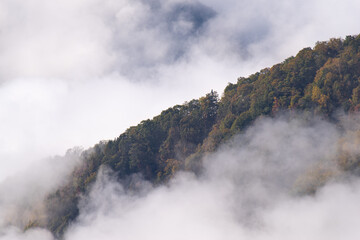 紅葉し始めた谷を雲海が覆う