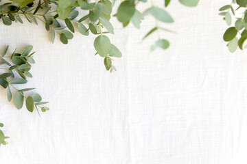 Green leaves of eucalyptus branches on a linen fabric.