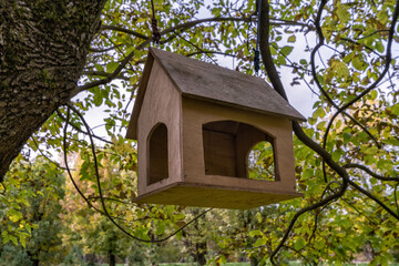 Fototapeta na wymiar House bird feeder in Park. People bring and pour grains and nuts for the birds.