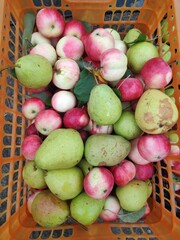basket of fruit