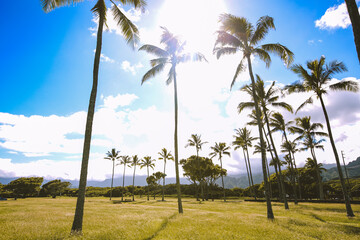 Kualoa Regional Park, Oahu, Hawaii